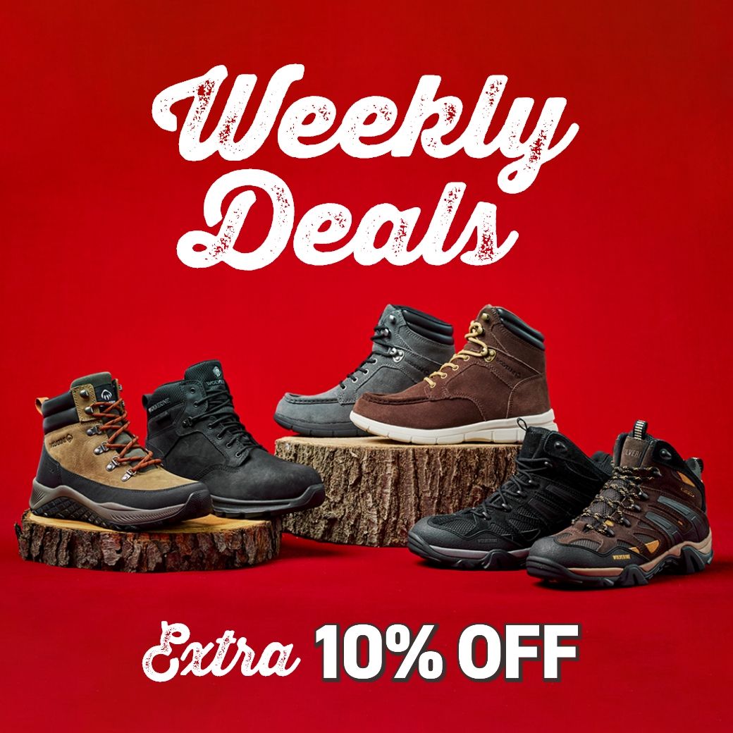 a group of shoes on a stump