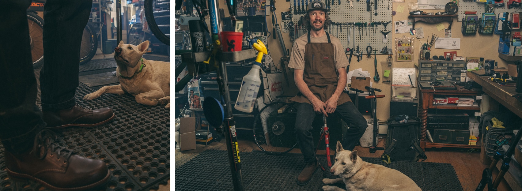 Boots & dog on left and Nathan Miller on the right with another dog in a bike shop.