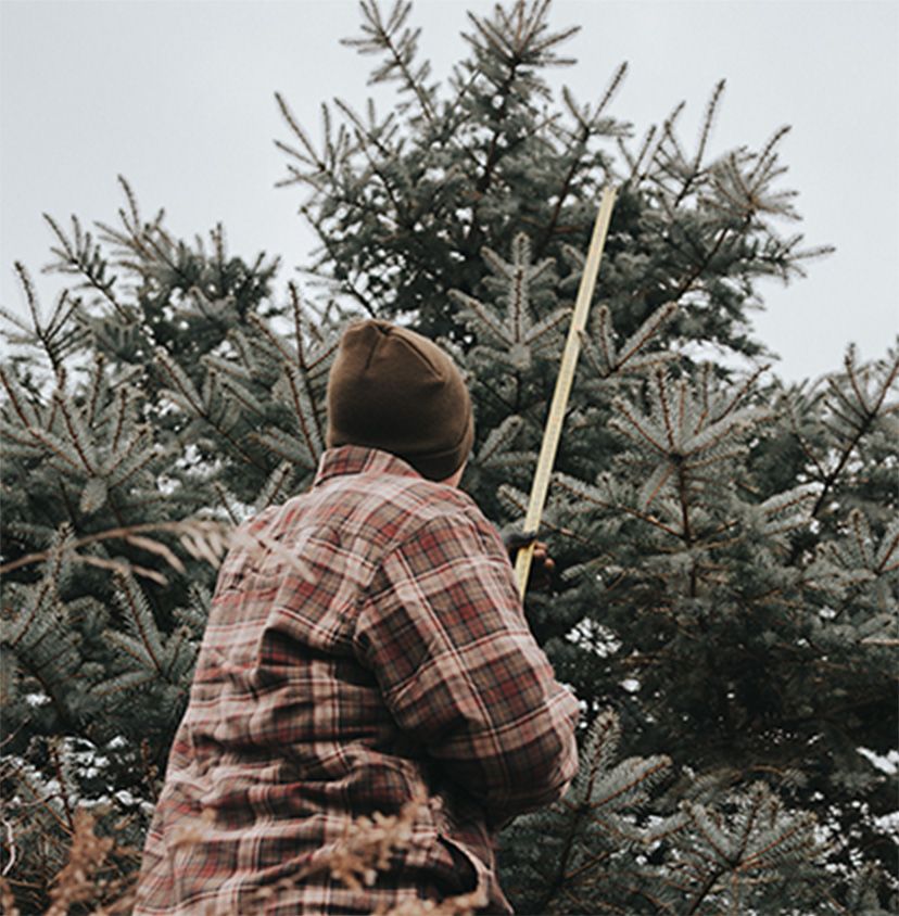 a person standing in front of a tree