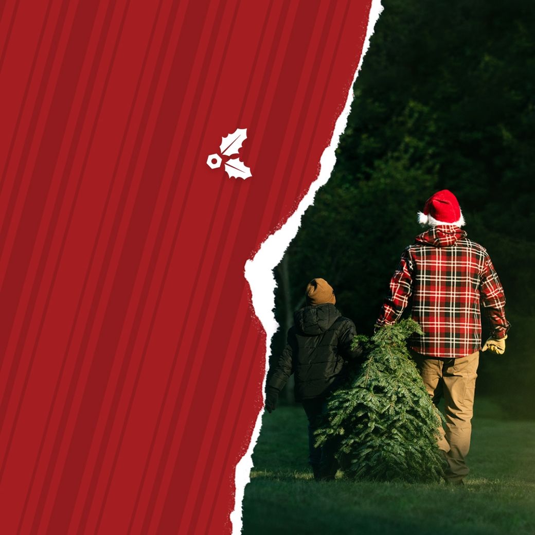 a man and child carrying a christmas tree