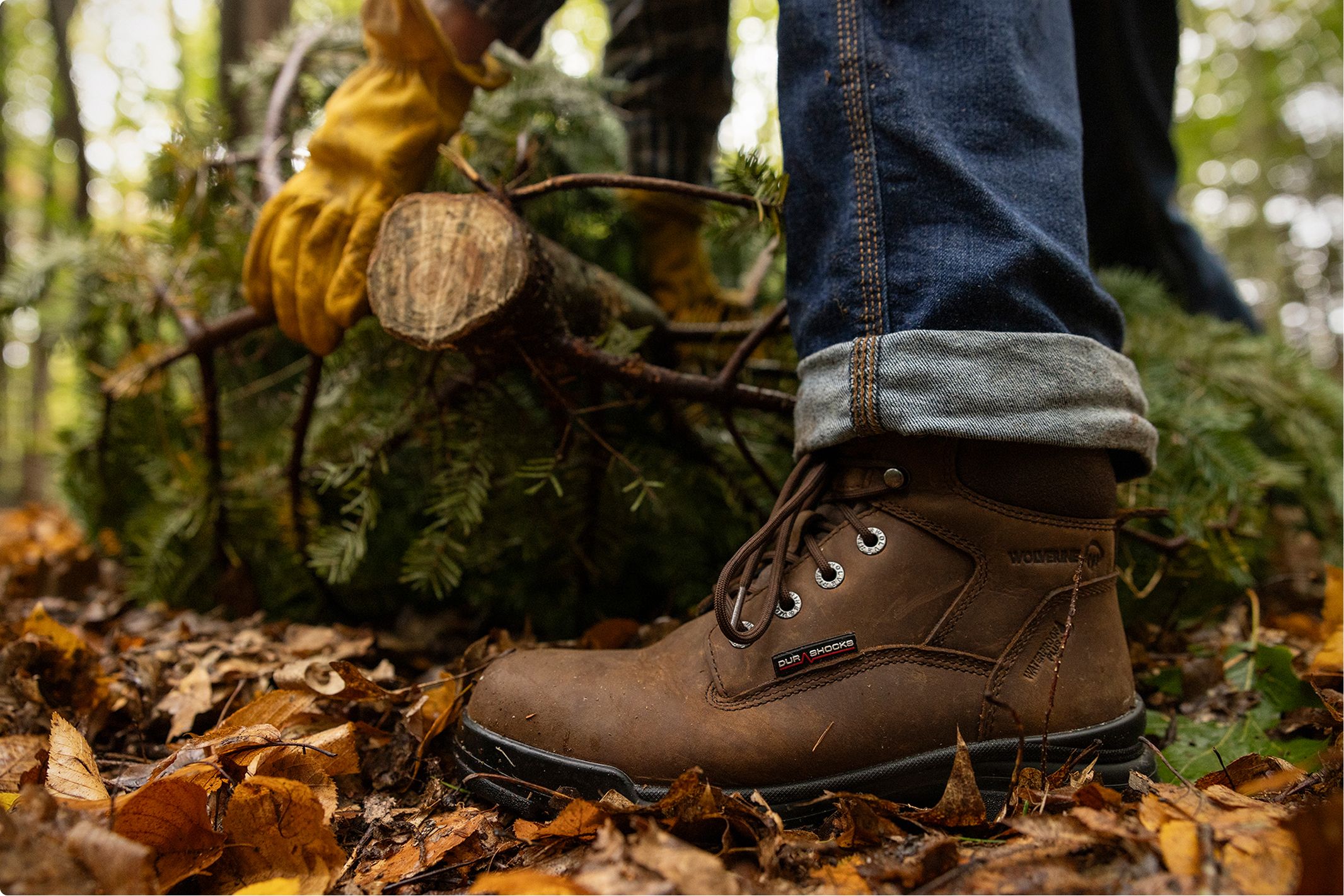 Gathering wood in a forest.