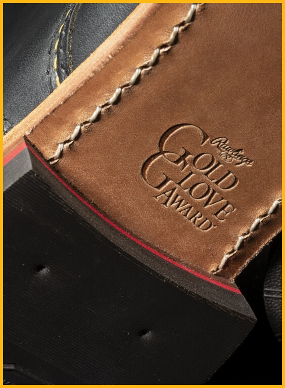 debossed rawlings gold glove award logo