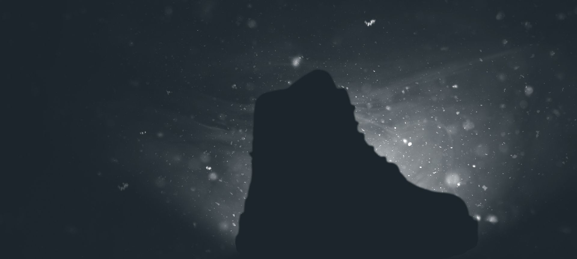 Complete Wolverine outfit beside a farm truck license plate.