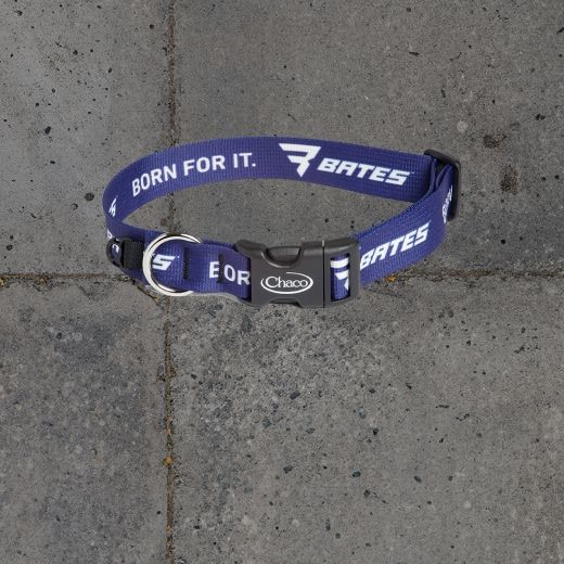Blue dog collar with the text 'Bates: born for it'.
