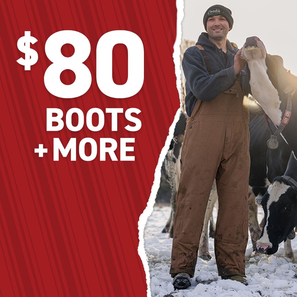 a man standing next to cows