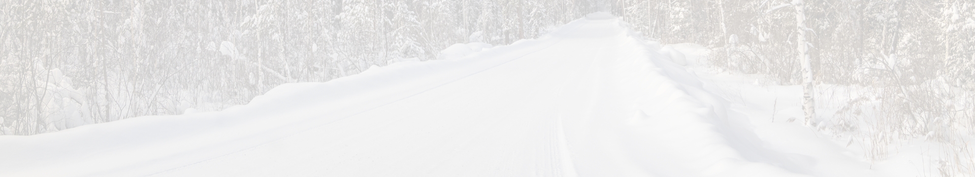 Snowy forest background.