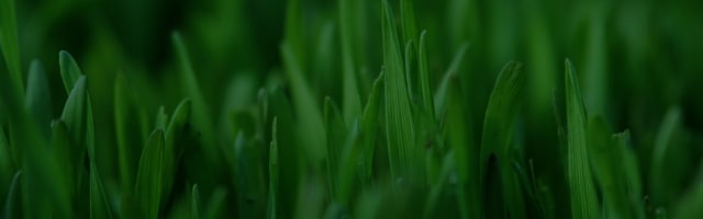 Spring Event