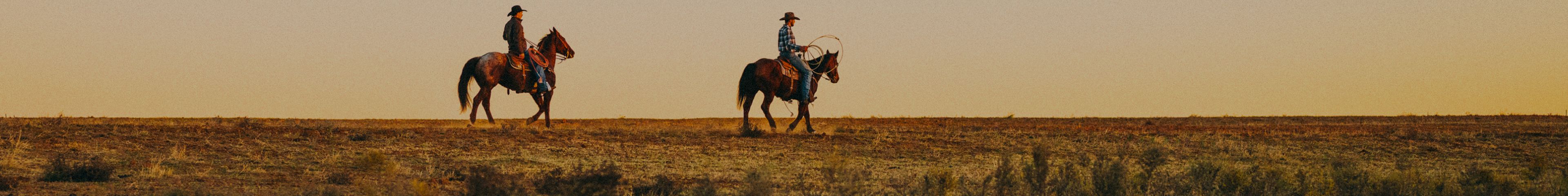 Two riders on horseback in an open field at sunset.