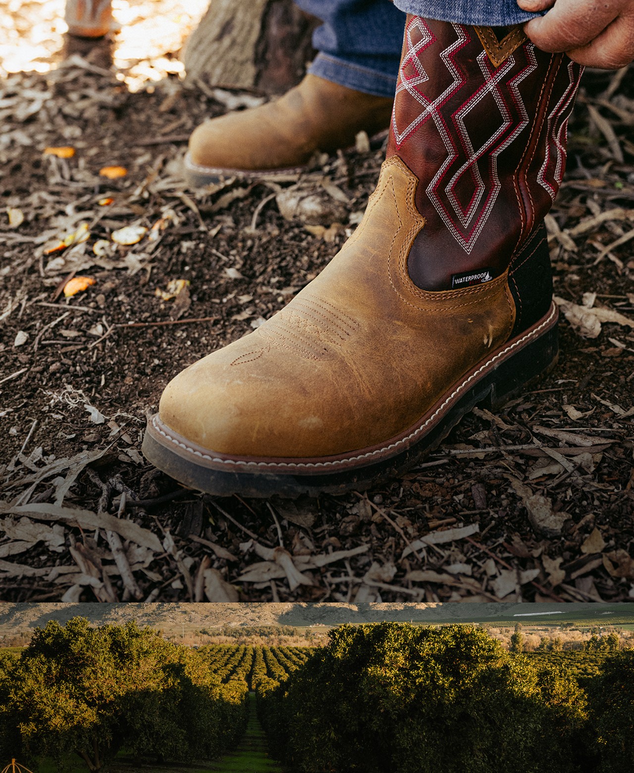 Pulling on a brown and red western work boot.