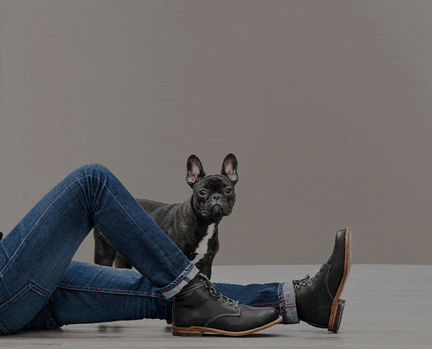 Legs, boots and dogs (animated). Each frame shows a dog that matches the boots.